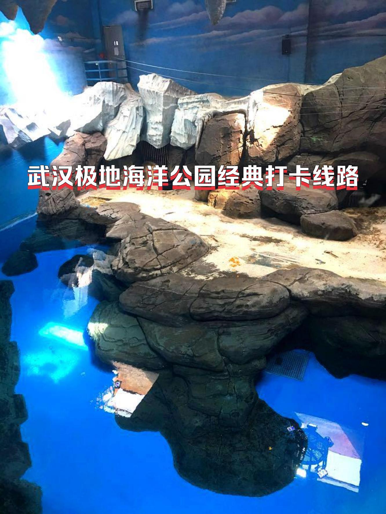 武昌海洋极地公园攻略图片