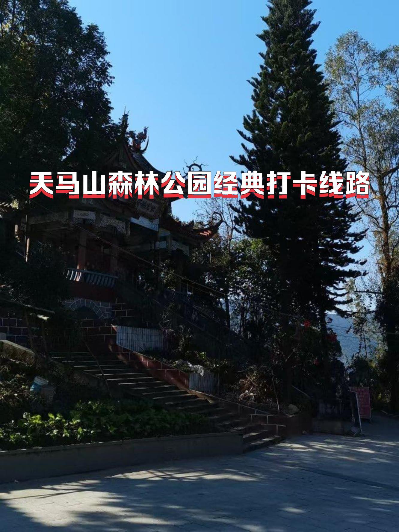 松江天马山风景区门票图片