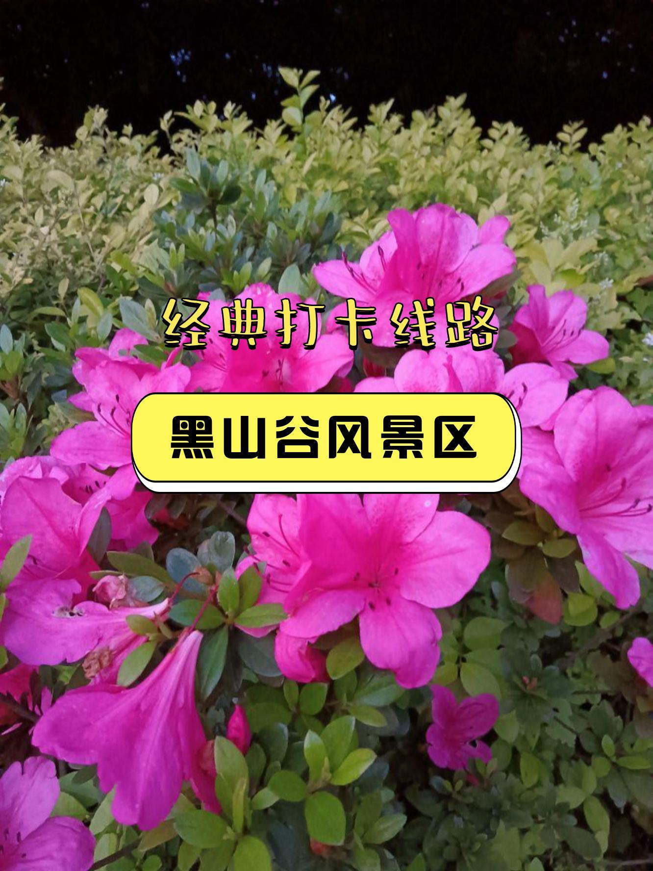 黑山谷简介图片