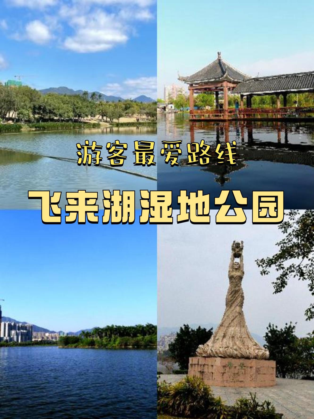 飞来湖湿地公园导览图图片