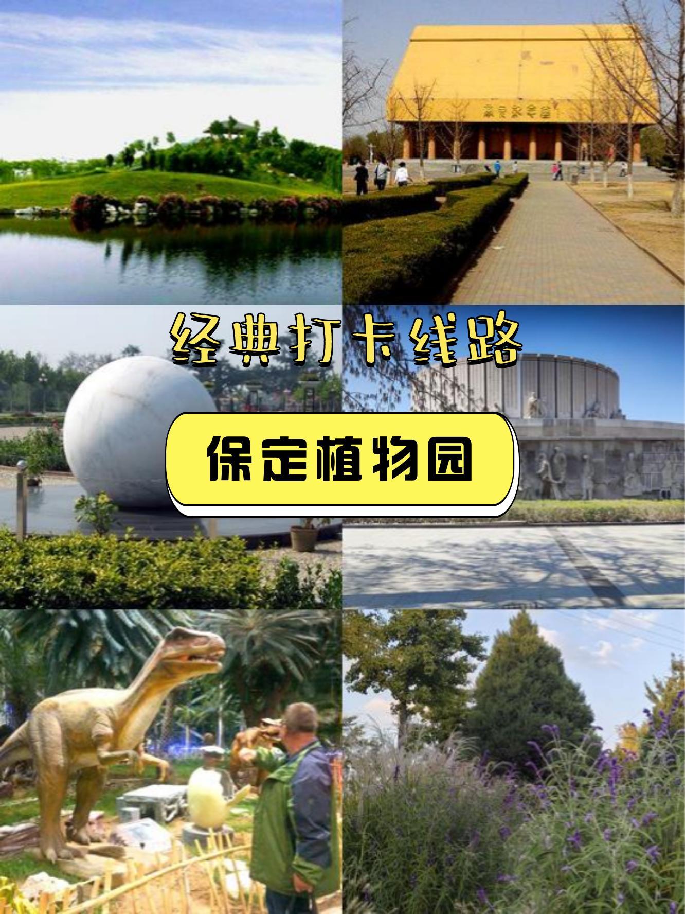 保定市植物园地图图片