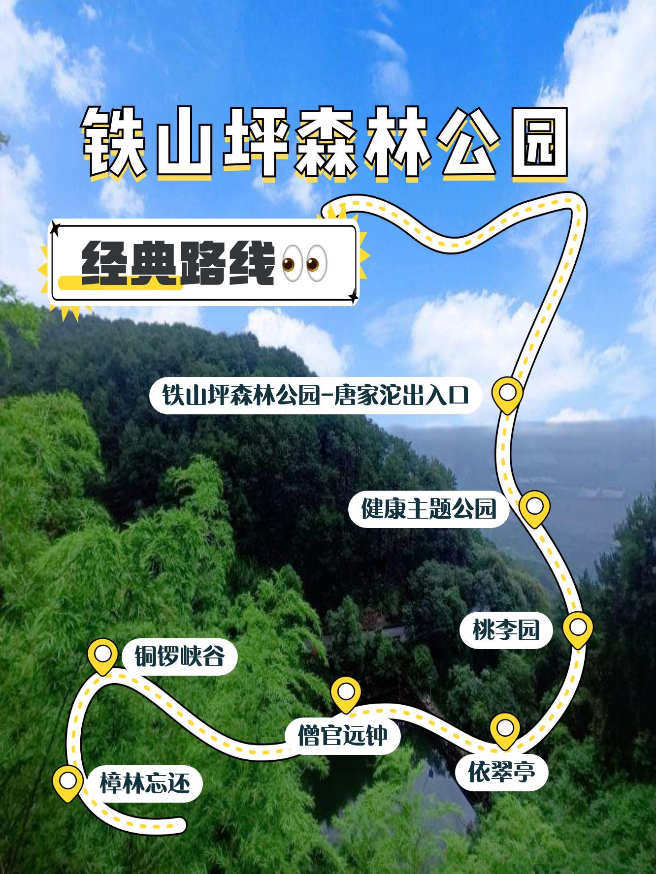 铁山坪森林公园路线图片