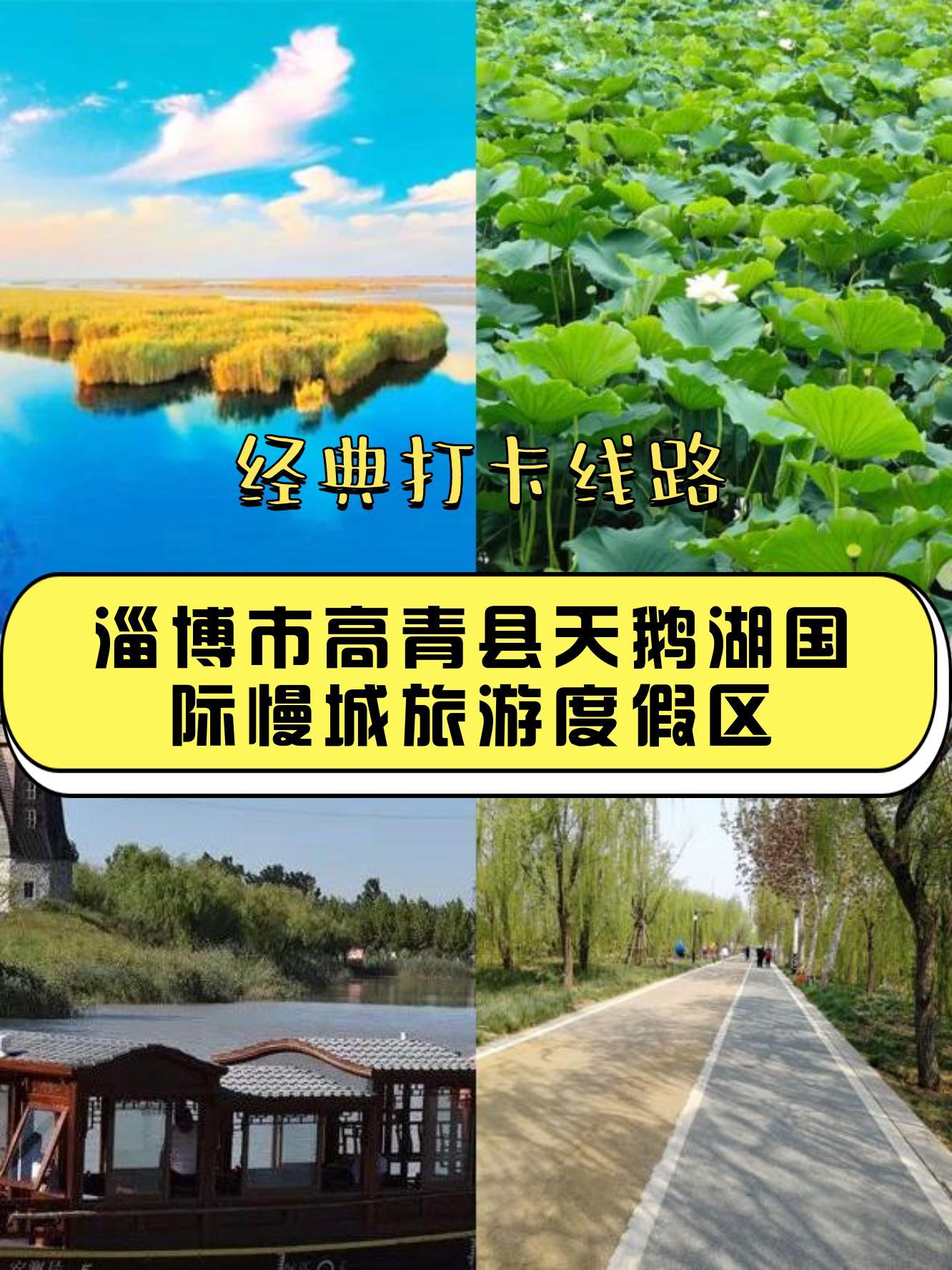 高青旅游景点有哪些图片