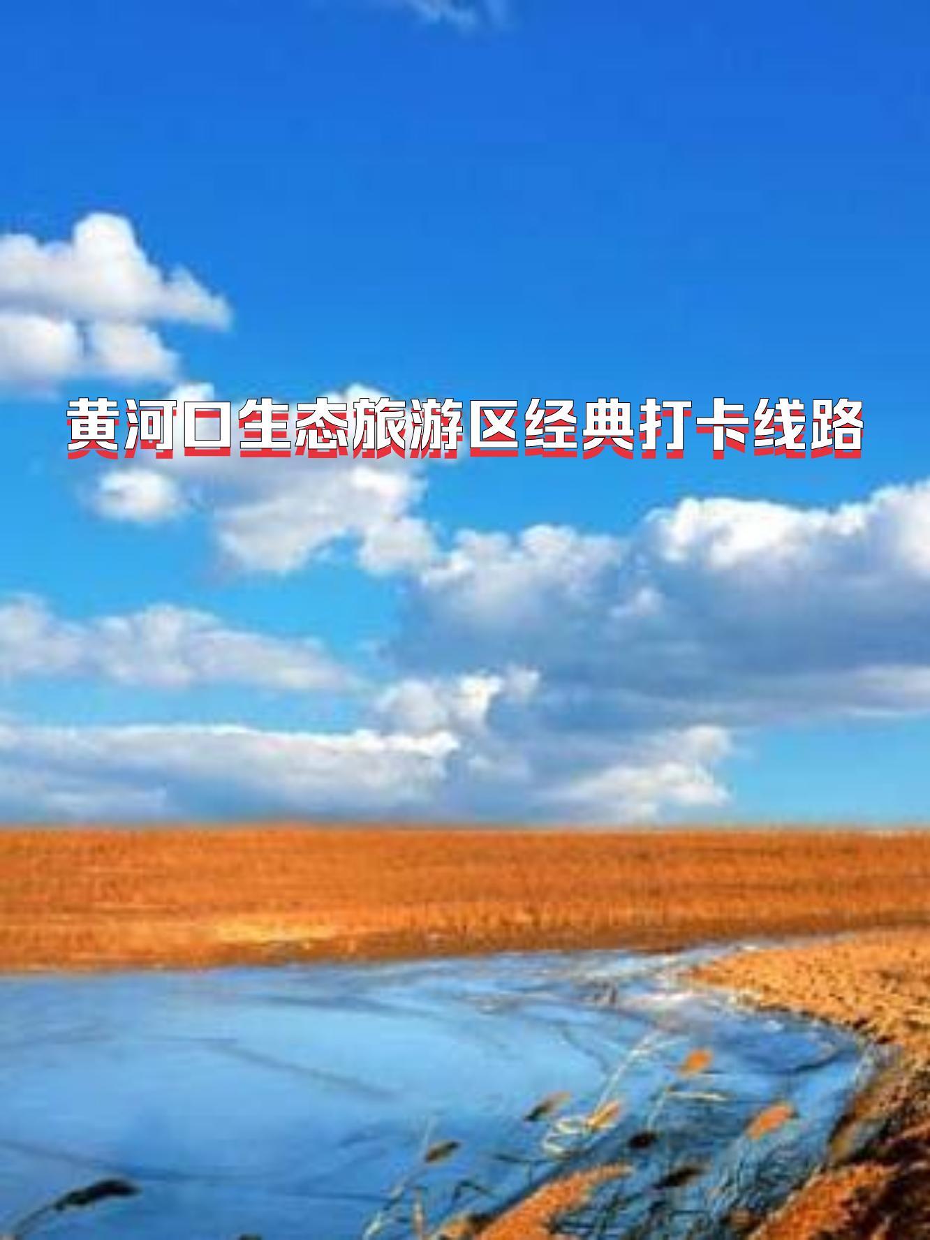 黄河湿地公园门票图片