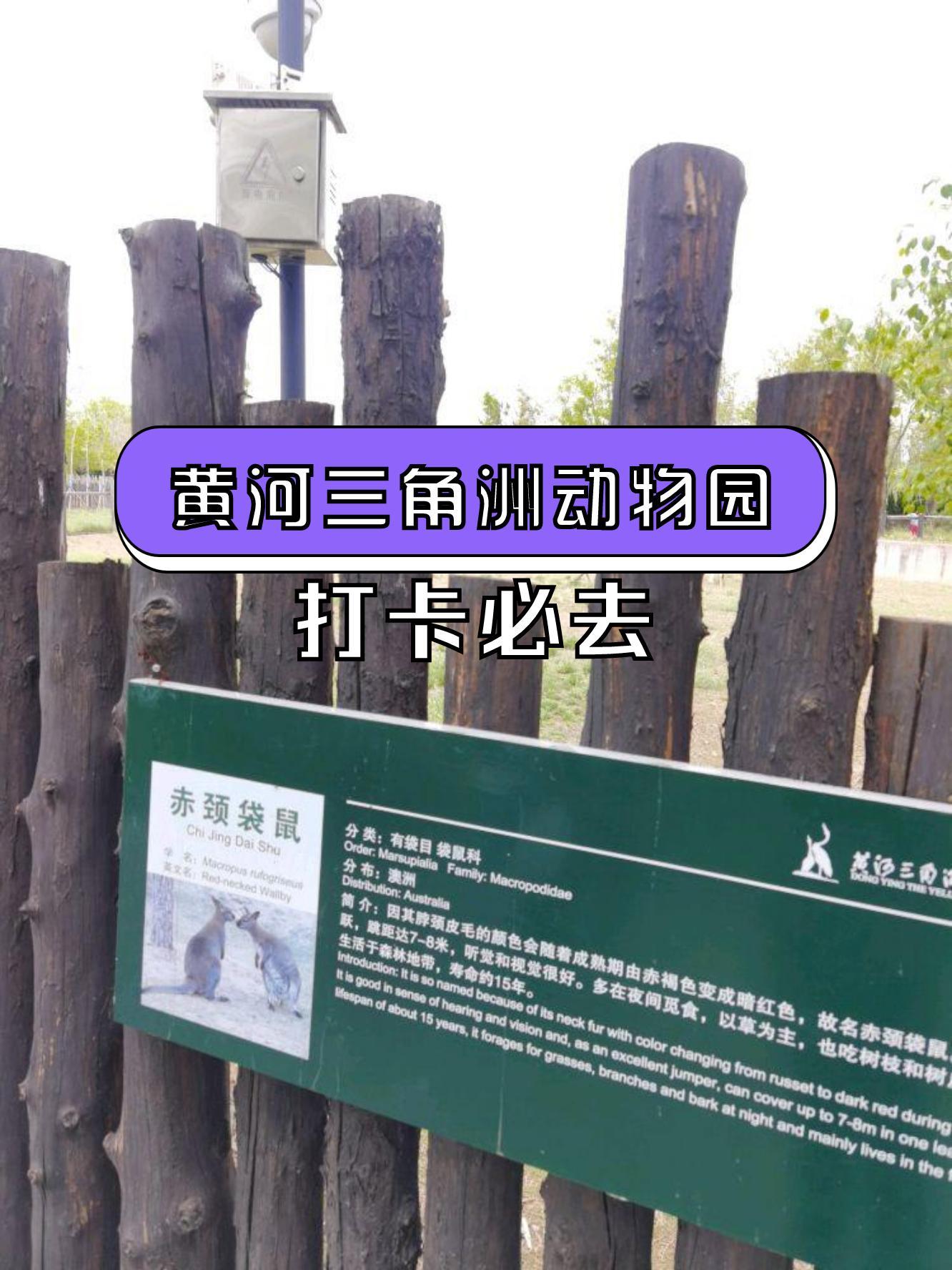 黄河三角洲动物园地图图片