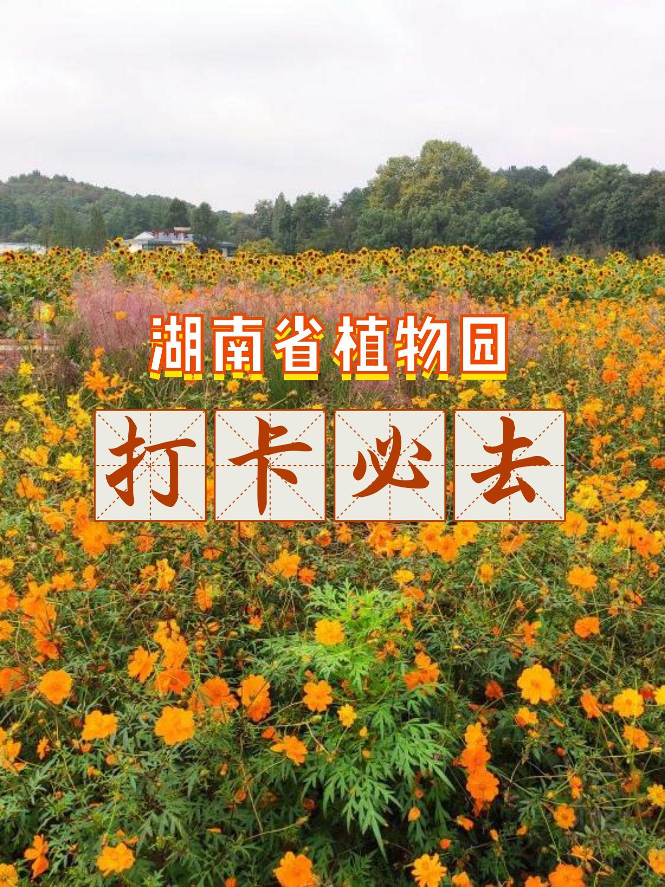 南街村植物园门票图片