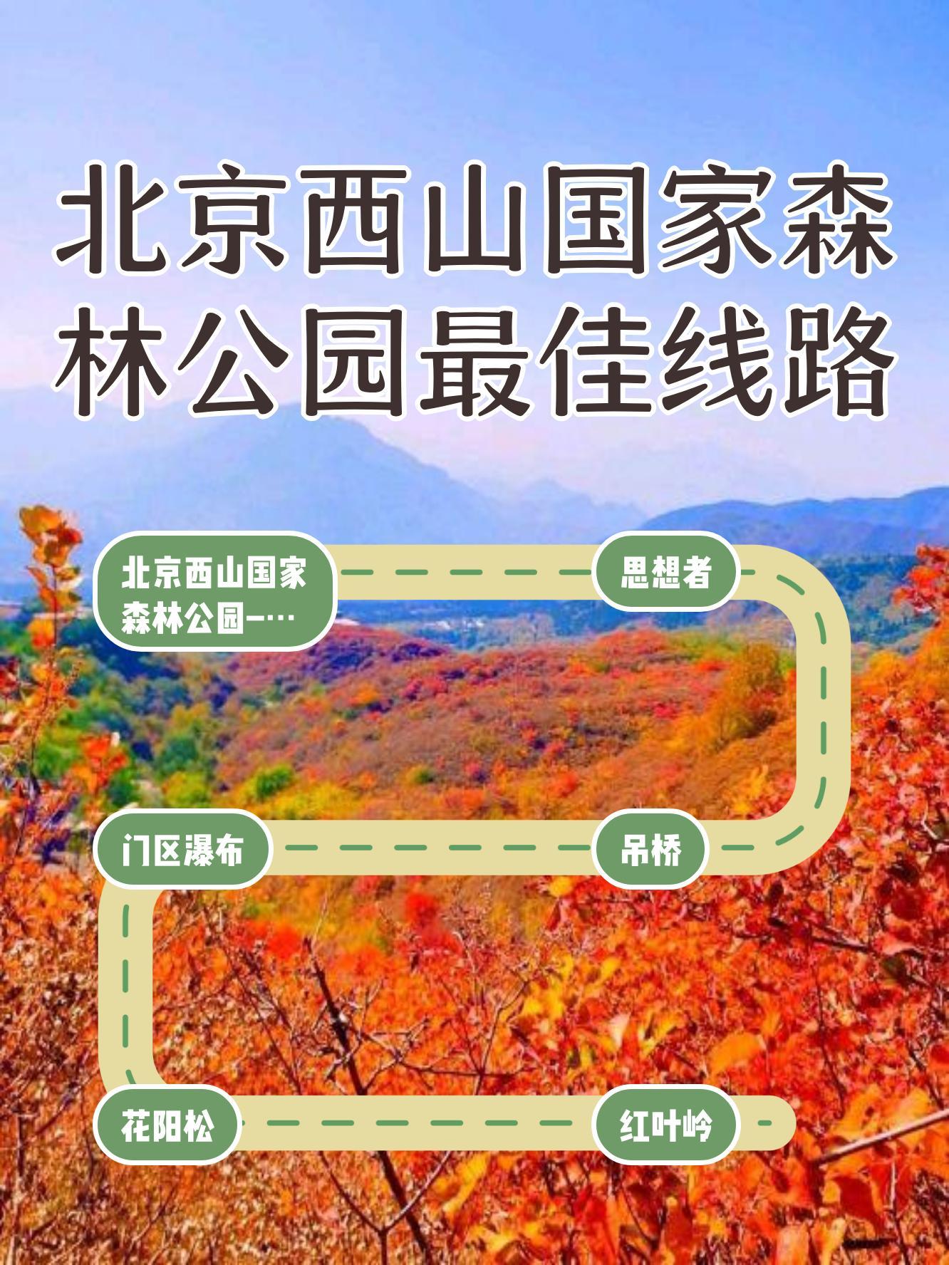 99景区名称:北京西山国家森林公园 99登顶鬼笑石,绝美夜景尽收