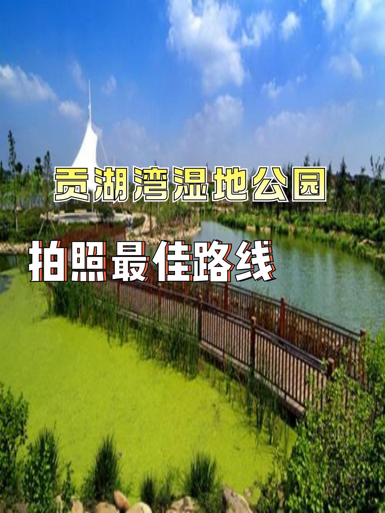 贡湖湾湿地公园介绍图片