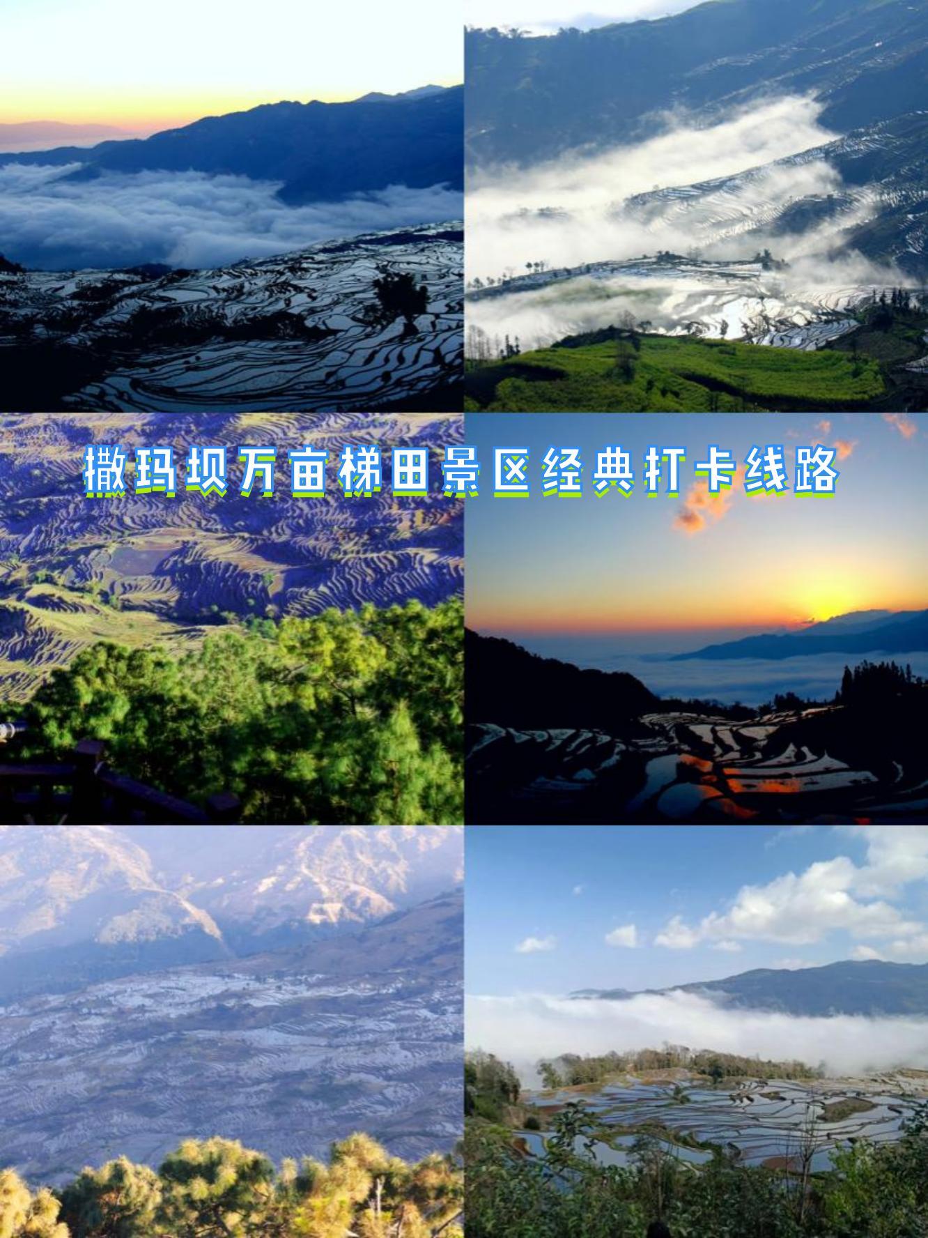 红河撒玛坝梯田门票图片