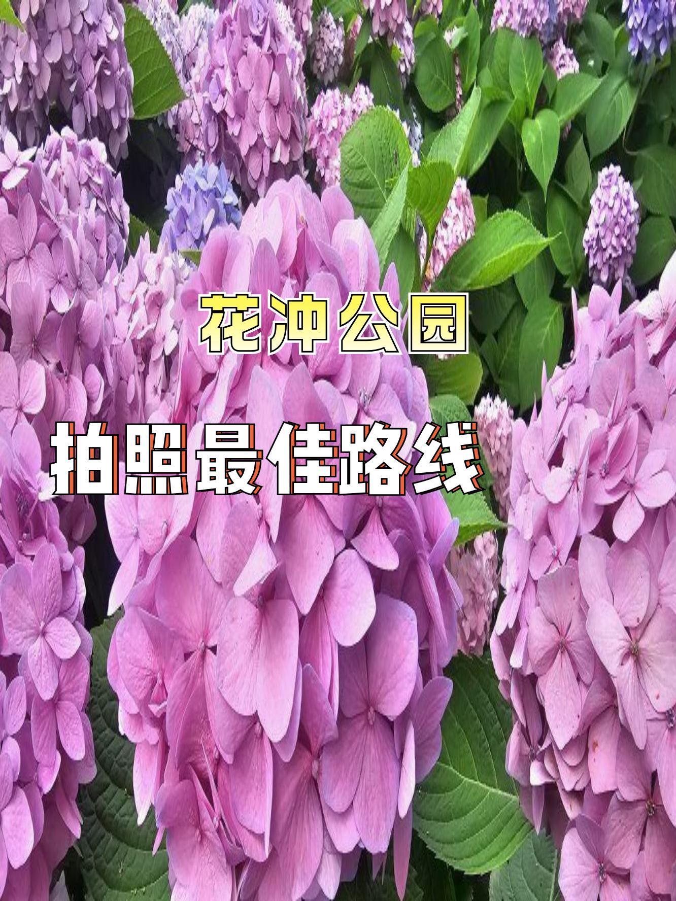 合肥花冲公园地图图片