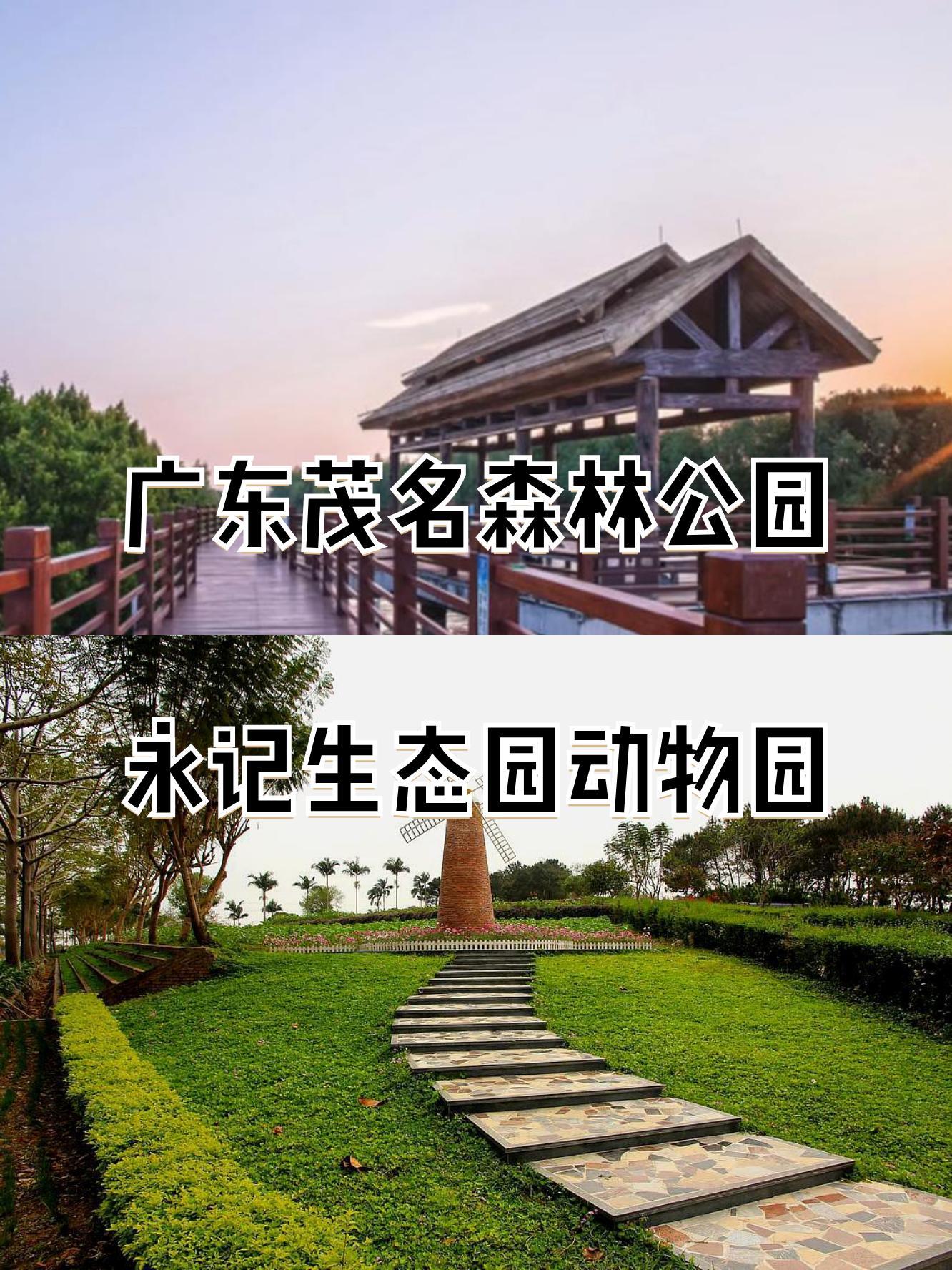 广东森林公园排名图片