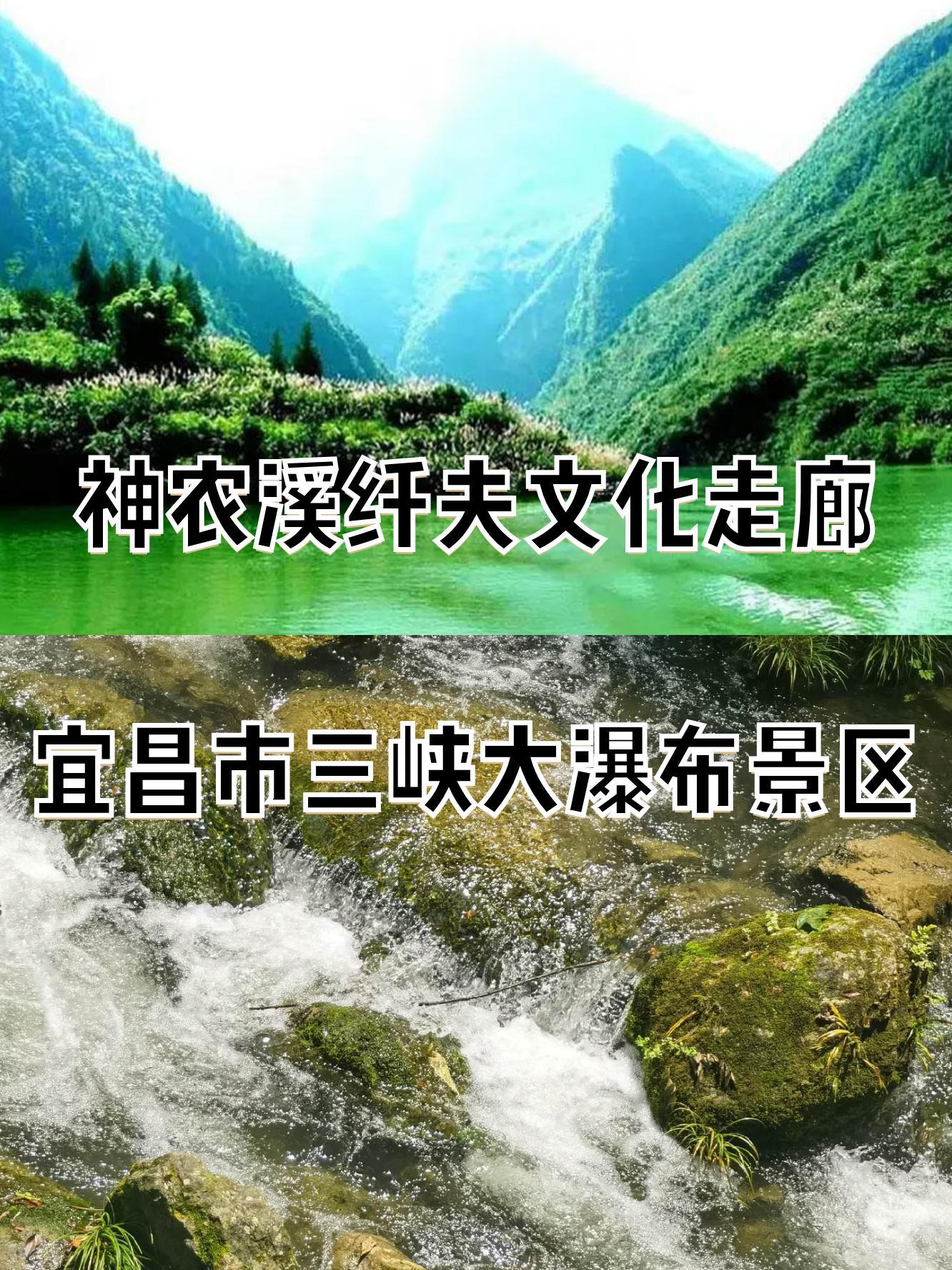 神农溪景区介绍图片