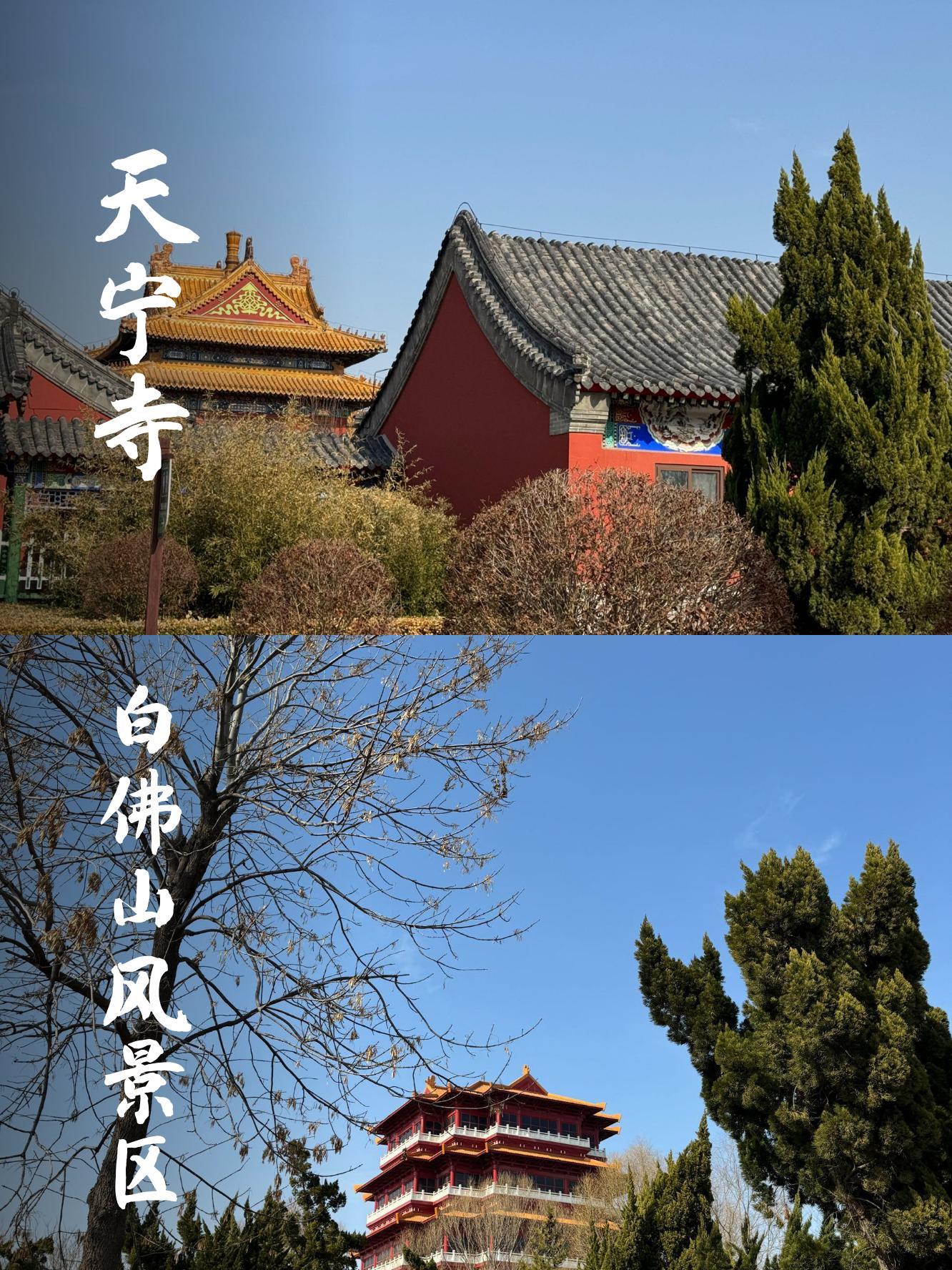 衡水天宁寺住持图片