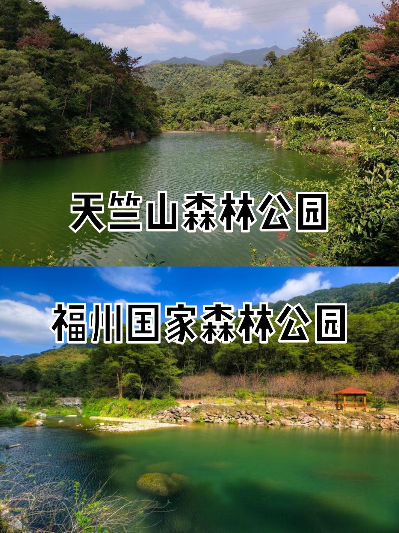 天竺山森林公园门票图片