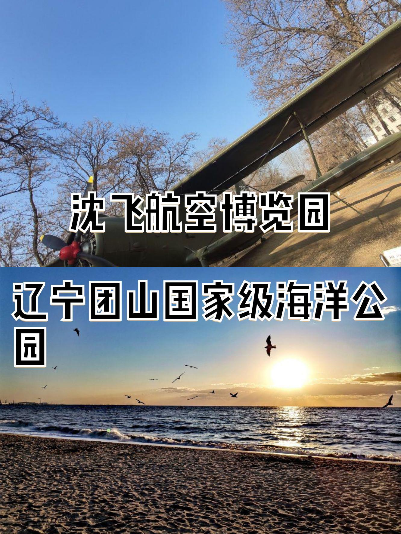 沈飞公园图片