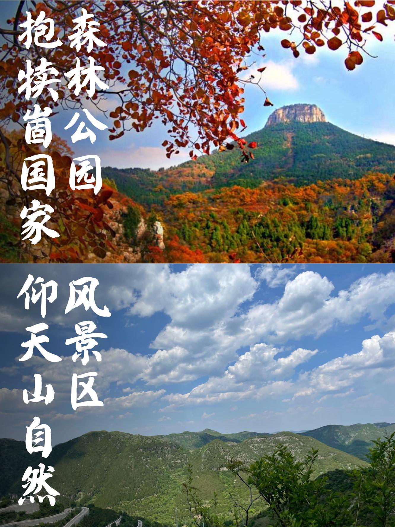 抱犊崮风景区电话图片