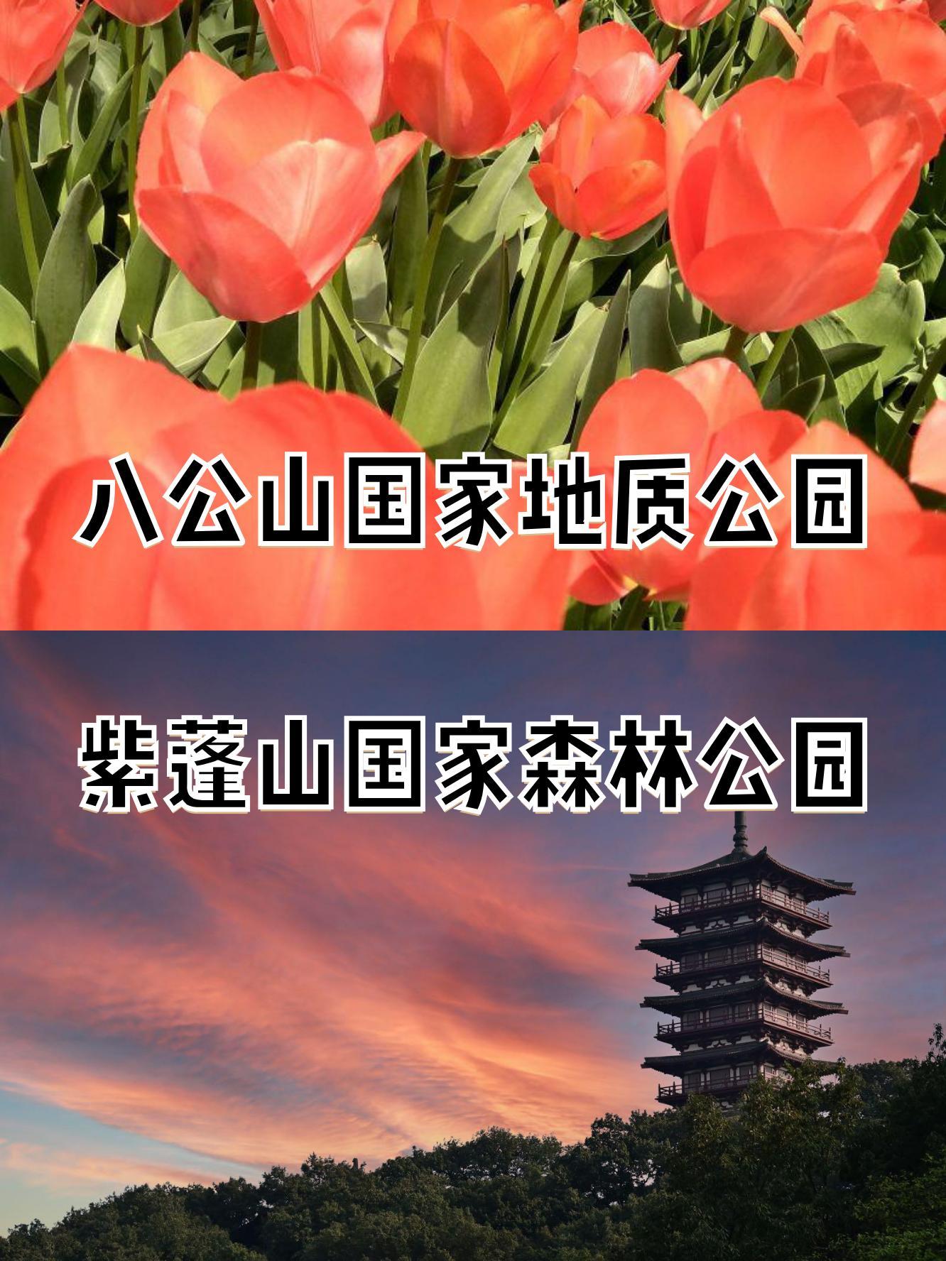 八公山地质公园一日游图片