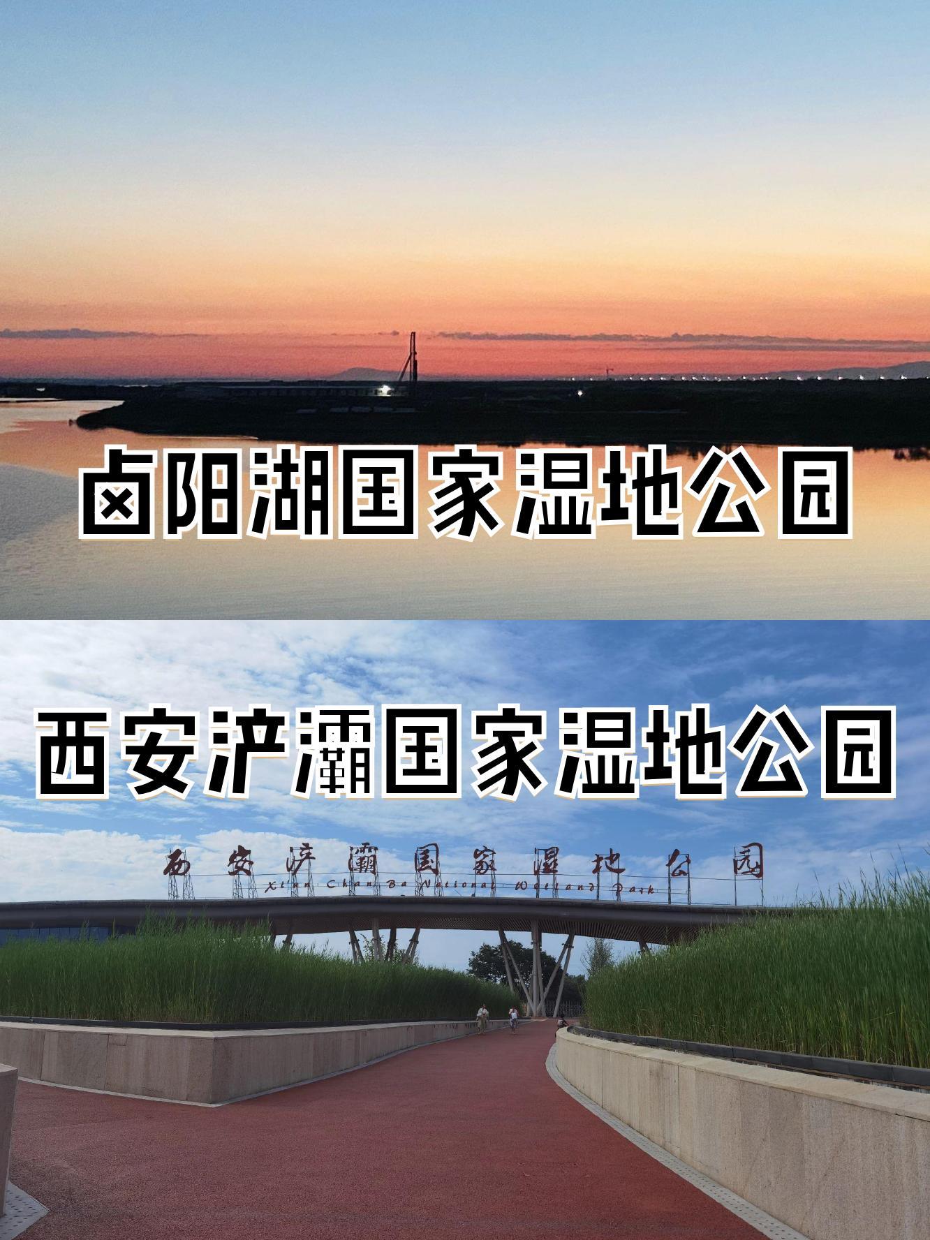 卤阳湖湿地公园收费不图片