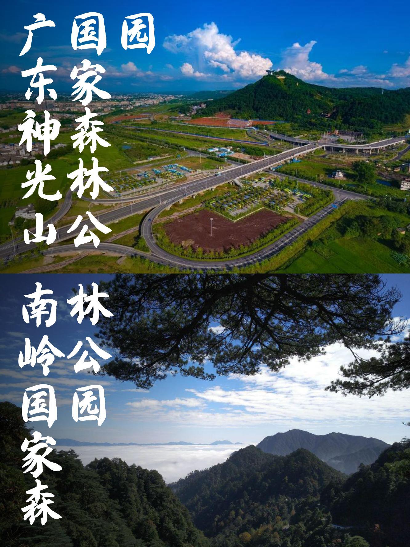 南岭国家森林公园门票图片