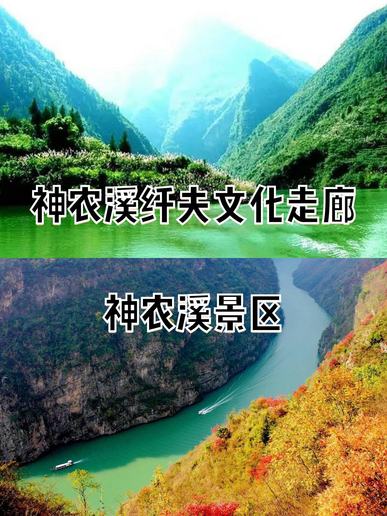 神农溪景区介绍图片