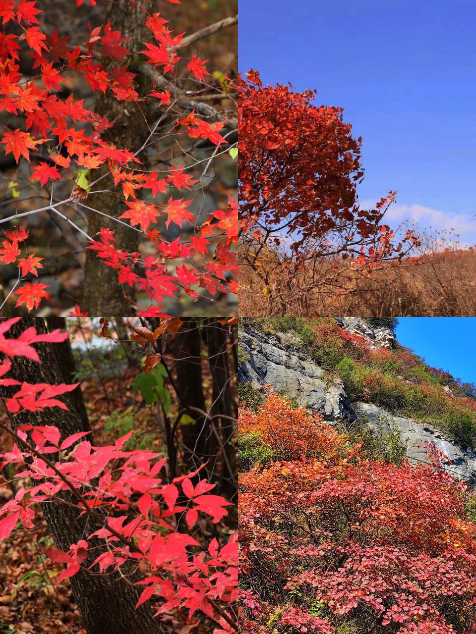 赤峰蟠龙山图片