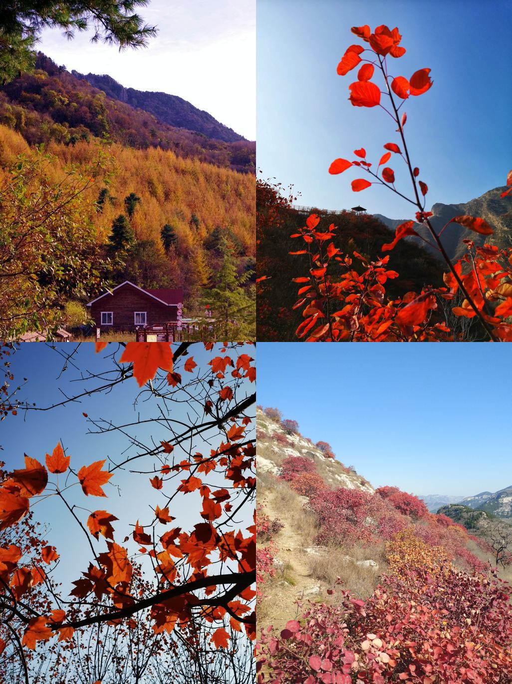 明堂山风景区在哪图片