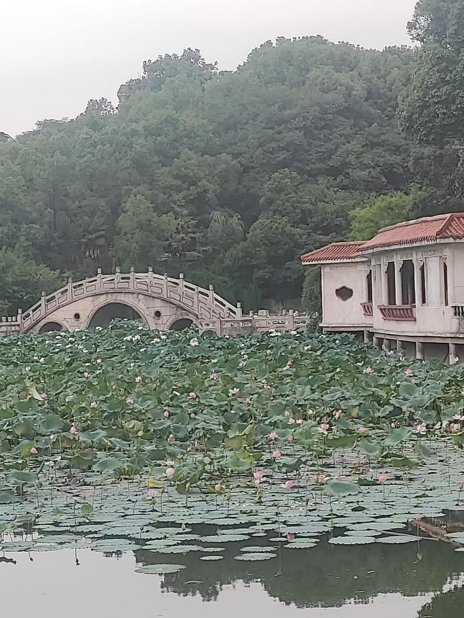 娄底青山公园简介图片