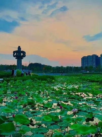 驻马店湿地植物园位置图片