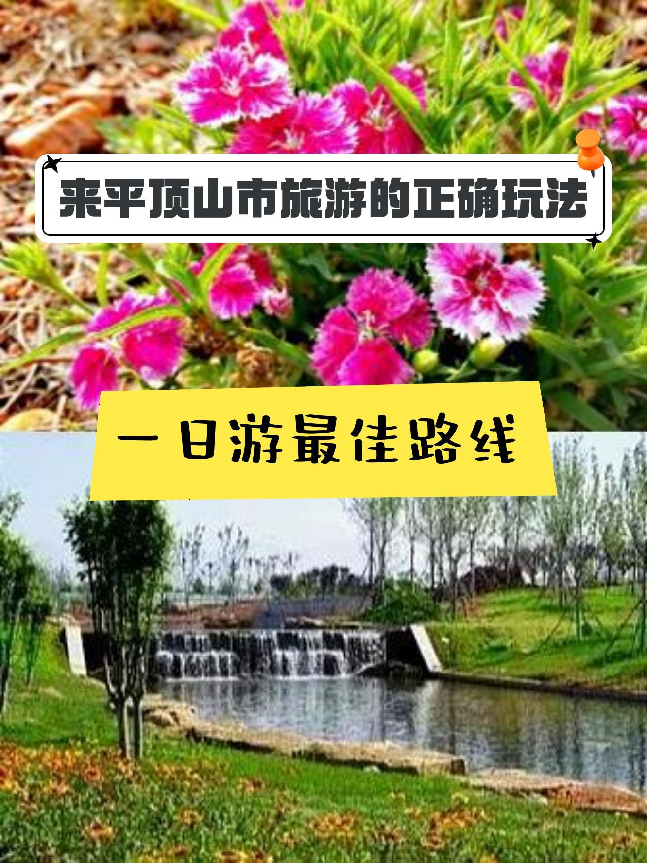 汝州硕平花海地址图片