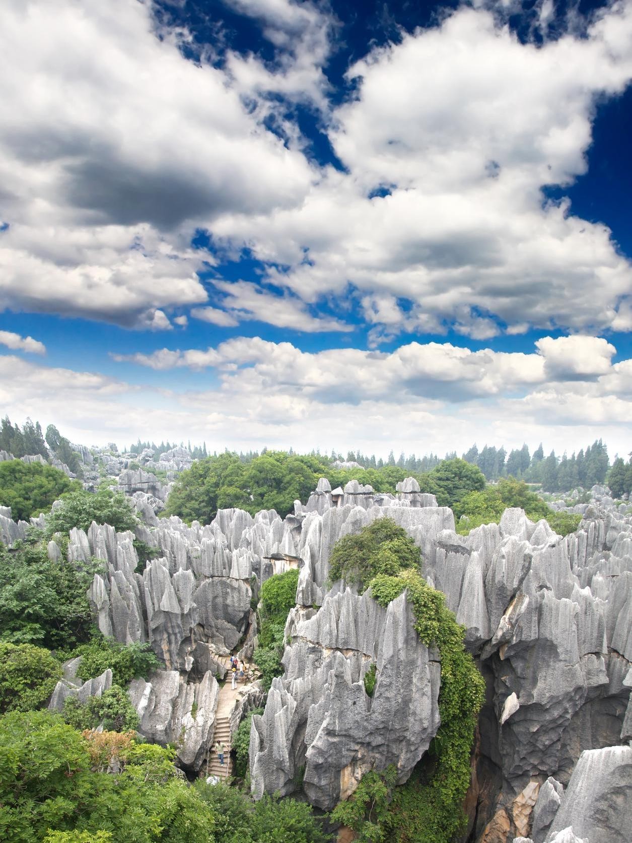 县石林大云南风景云南昆明云南最美风景图片云南风景照片美丽的风景