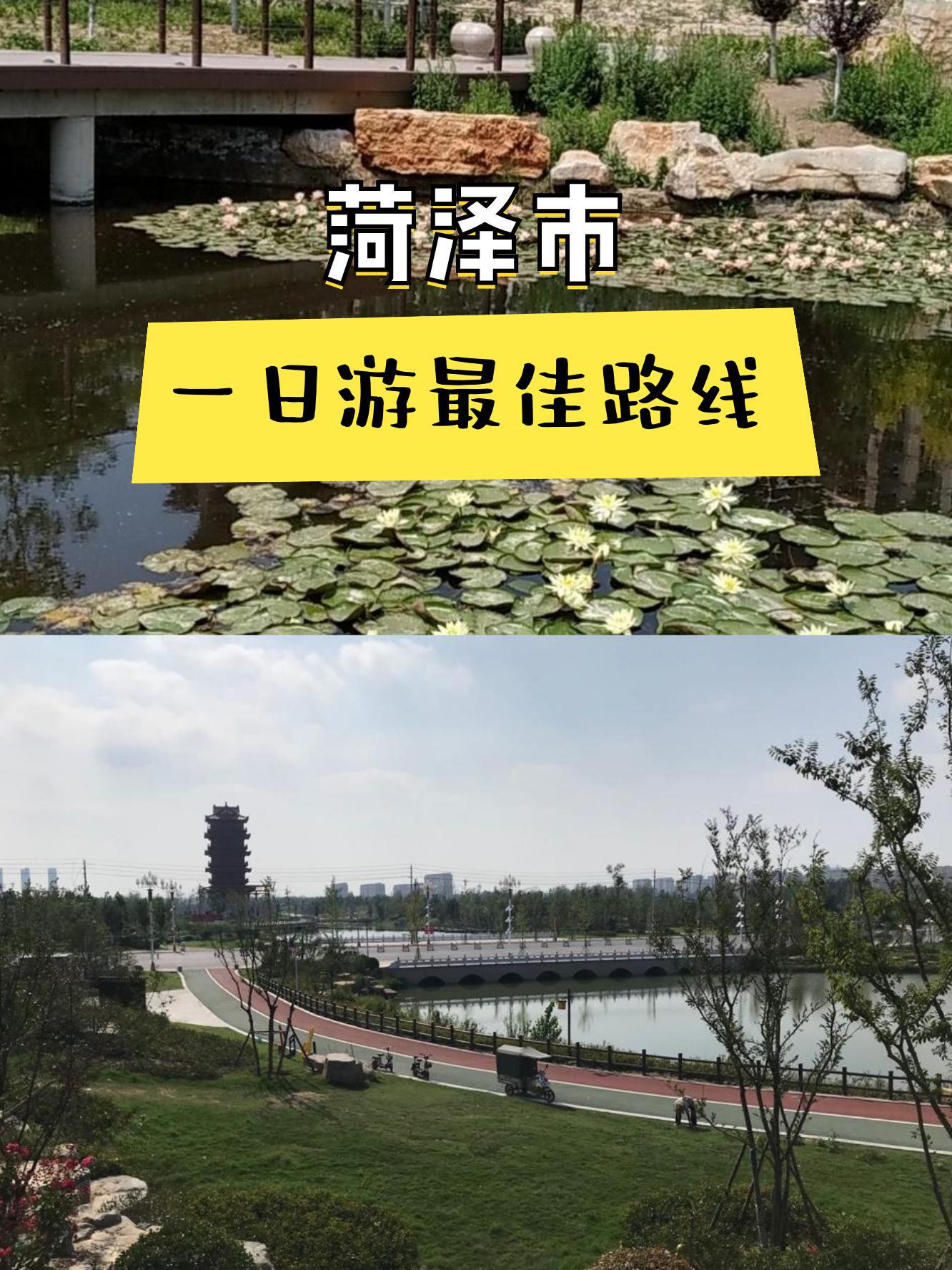 菏泽一路公交车路线图图片