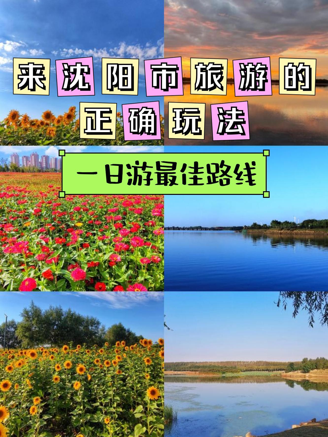 沈阳蒲河花海公园门票图片