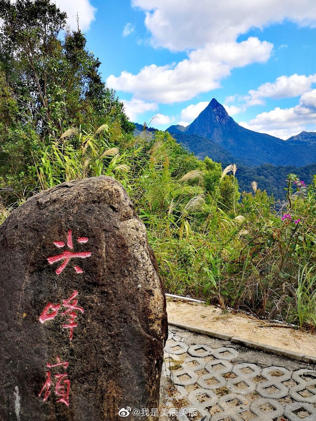 广州黄埔区尖峰岭公园图片