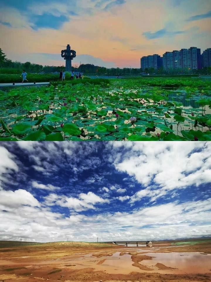 驻马店湿地植物园位置图片