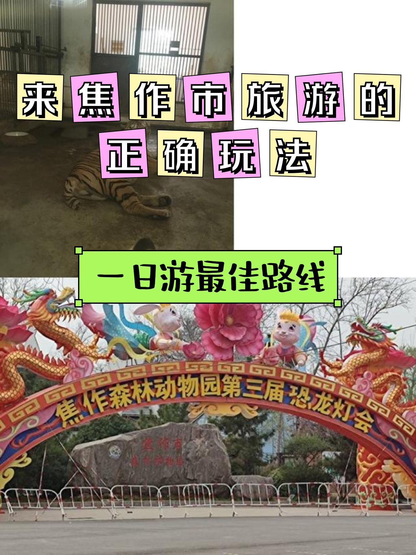 焦作森林动物园公交车图片