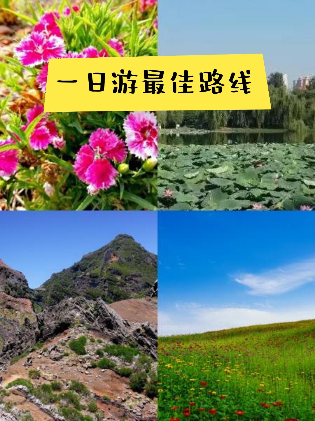 汝州硕平花海地址图片