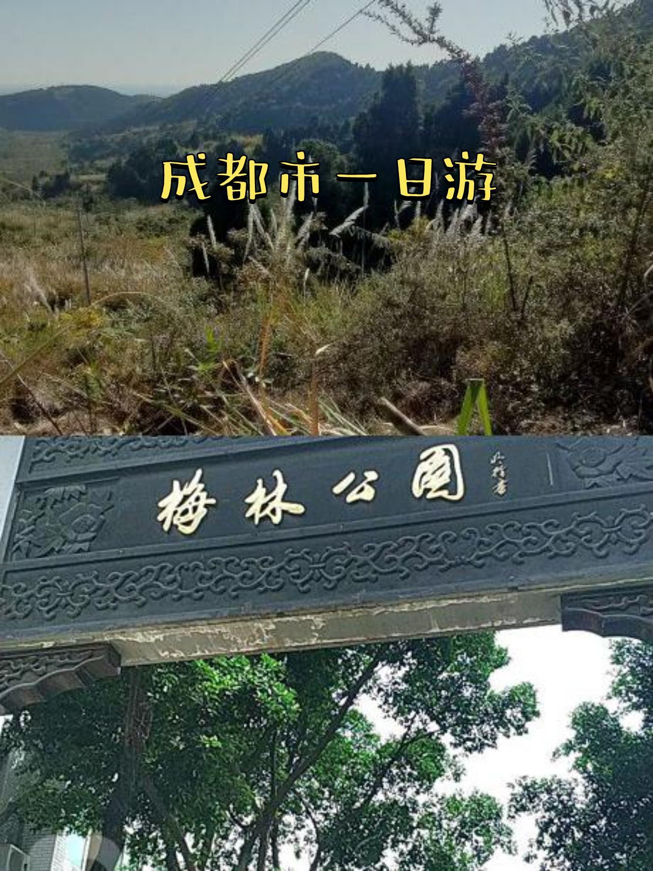 龙泉山森林公园 门票图片