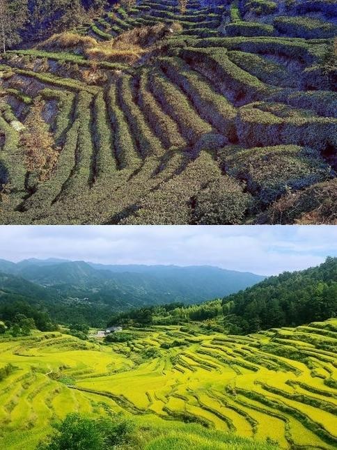 蕲春梯田天气预报图片