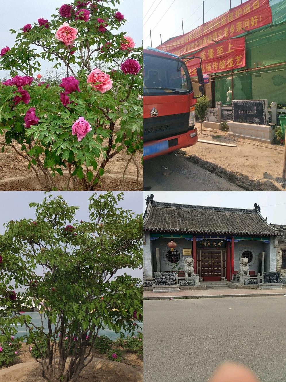 菏泽花乡生态园图片