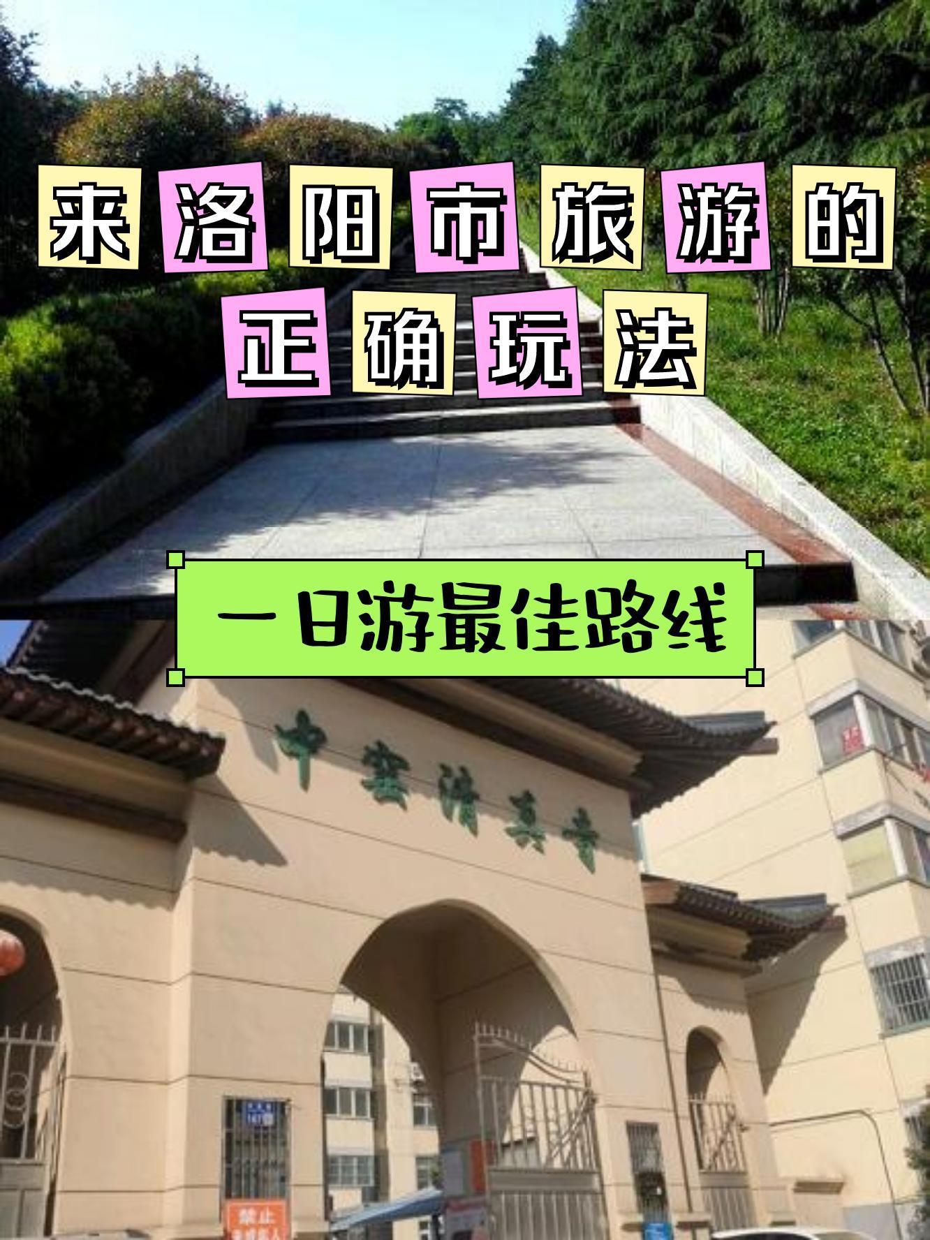 洛阳周山森林公园电话图片