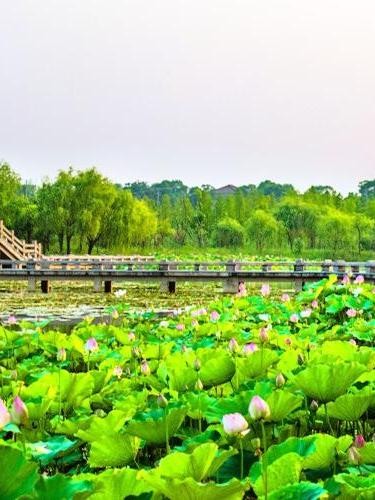 湖州市浙北医馆图片