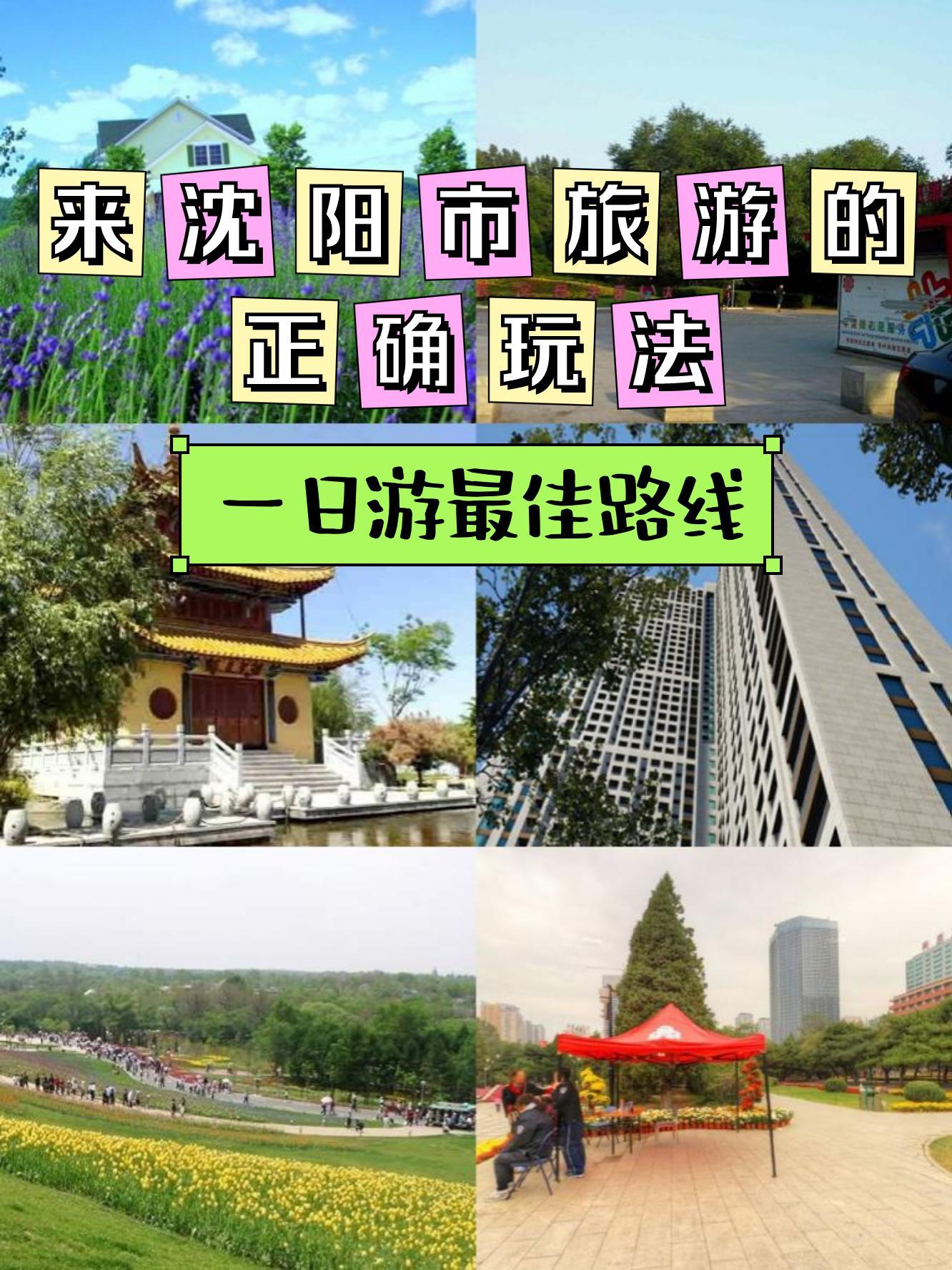 沈阳中山公园平面图图片