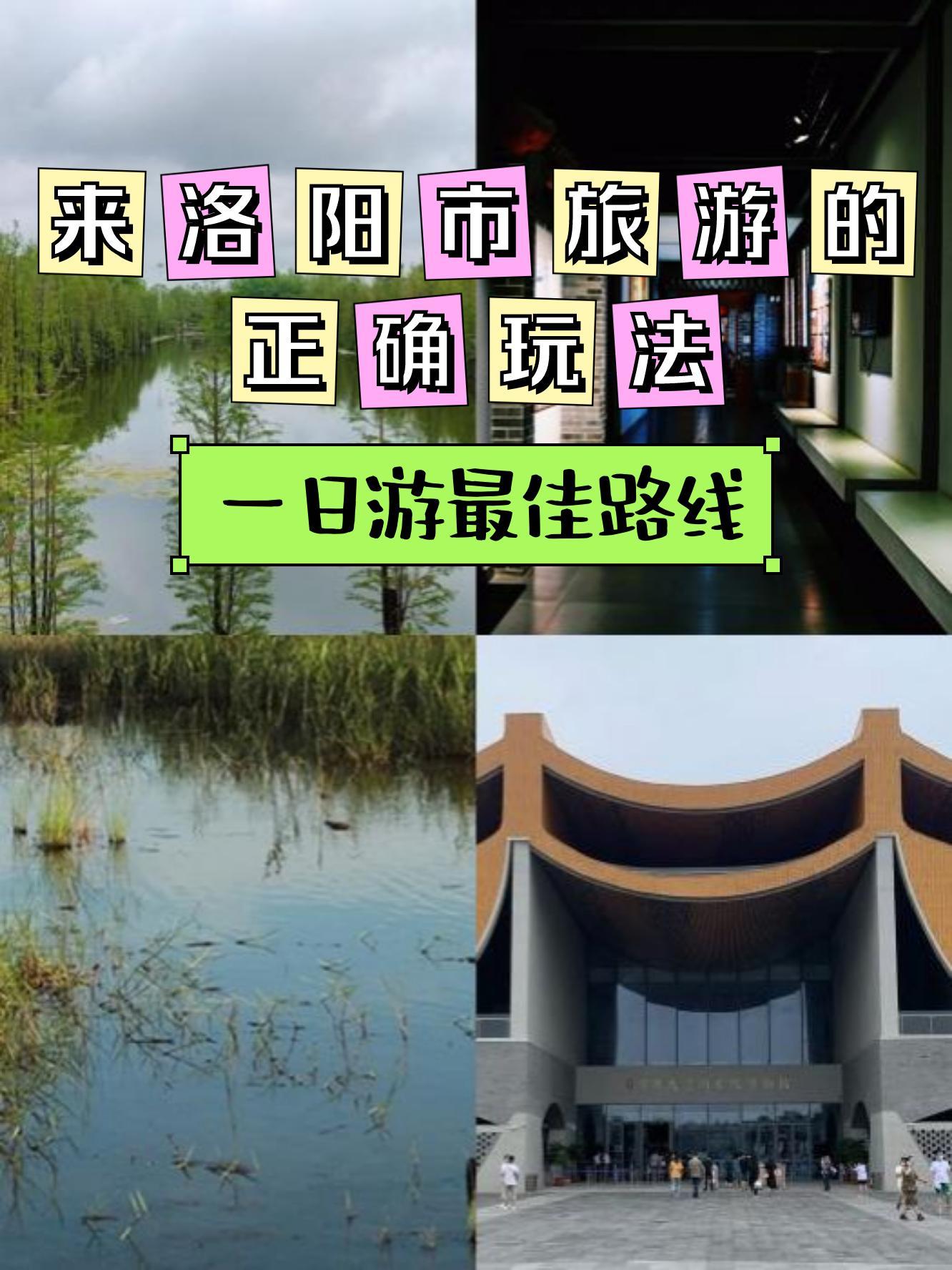 洛阳伊河湿地公园门票图片