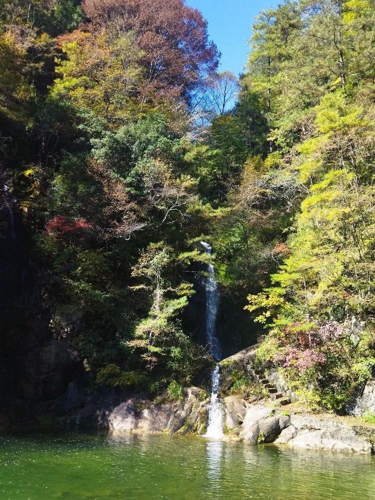 陕西朝阳沟景区在哪图片