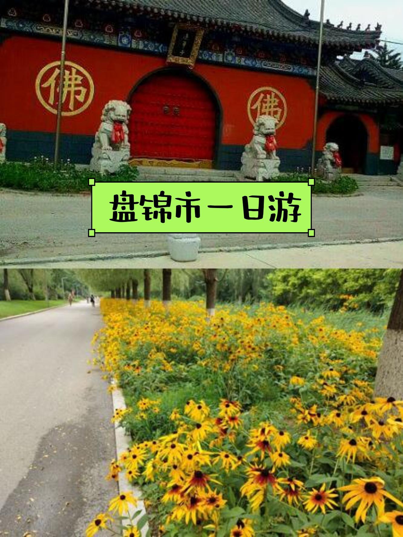 盘锦大洼净住寺简介图片