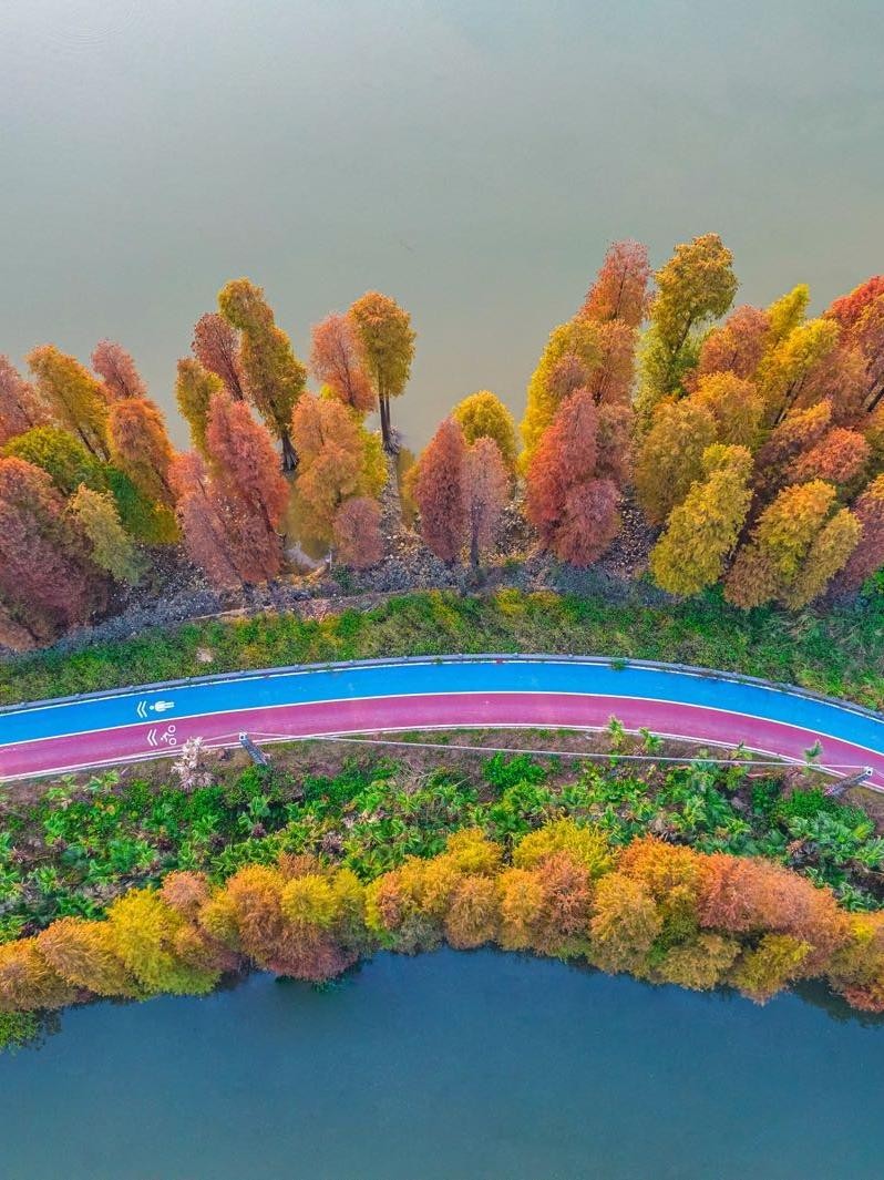 江门礼乐湿地公园图片