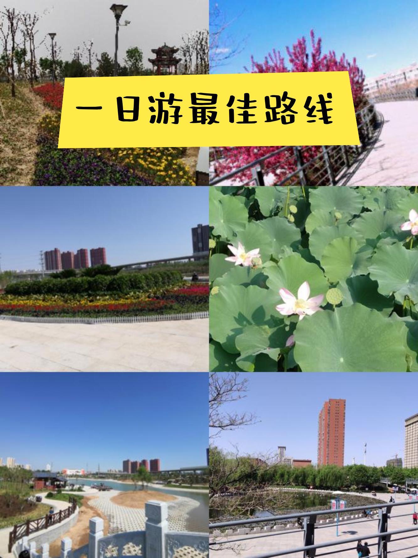 西环公园跑道多长图片