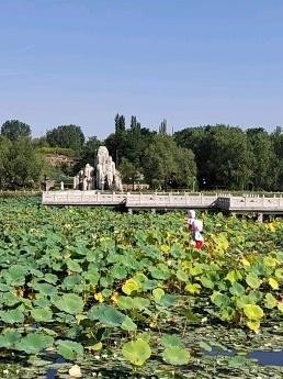 白银水川湿地公园图片