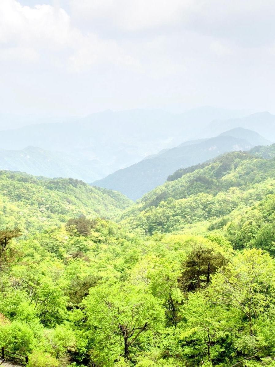 五脑山风景区图片