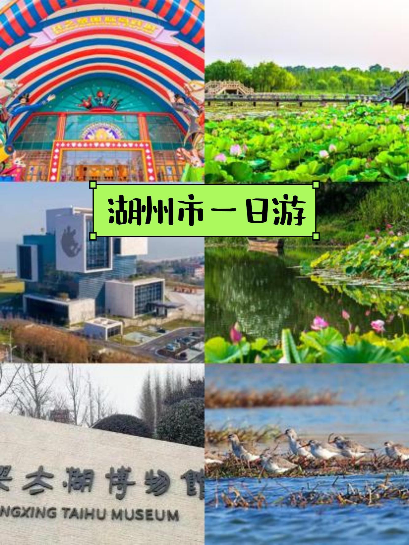 龙之梦湿地公园介绍图片